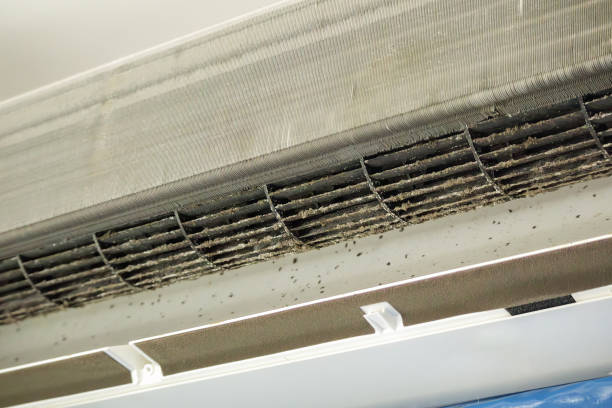 Best Air Quality Test  in Gresham Park, GA